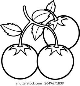 Tres tomates maduros de cereza comida de frutas