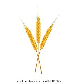 Three ripe ears wheat icon. Cartoon illustration of wheat ears vector icon for web design