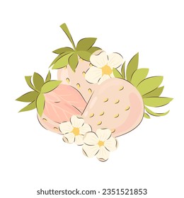 Three ripe juicy white strawberries. Vector illustration of summer berries.