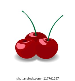 three ripe red cherries isolated on white background vector