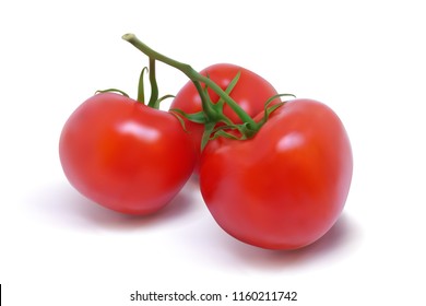 Three ripe red tomatoes on a branch. Photo-realistic vector illustration on a white background.