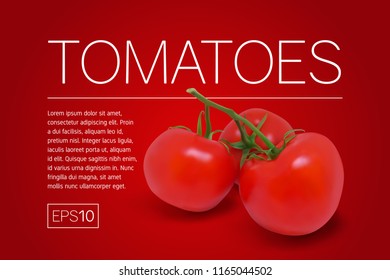Three ripe red tomatoes on a branch. Photo-realistic vector illustration on a red background.