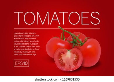 Three ripe red tomatoes on a branch. Photo-realistic vector illustration on a red background.