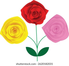 three rose flower in illustration