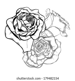 Three rose flower style line art