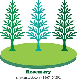 Three Rosemary Trees. Vector illustration.