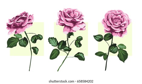 Three Roses Branches
