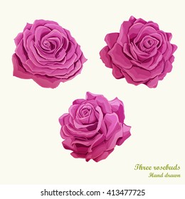 Three roses buds illustration. Hand drawn. Can be used in design, appearance, background, greeting card, etc. Vector- stock.