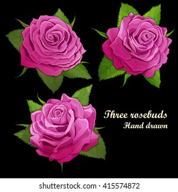 Three roses buds illustration. Hand drawn. Can be used in design, appearance, background, greeting card, etc. Vector- stock.