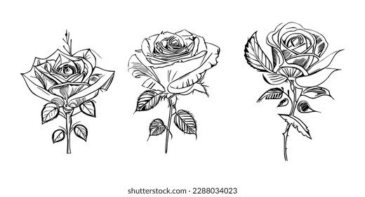 Three Roses Coloring Book showcases stunning depictions of three individual roses.