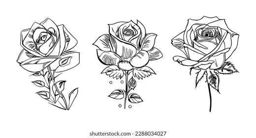 Three Roses Coloring Book showcases stunning depictions of three individual roses.