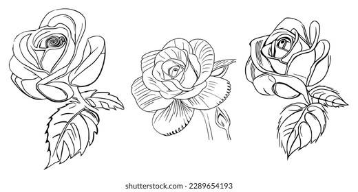 Three Roses Coloring Book showcases stunning depictions of three individual roses.