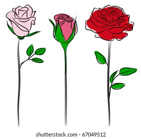 Three Roses in hand drawn style