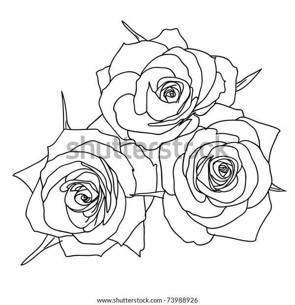 Three Roses Hand Drawn Style Stock Vector (Royalty Free) 73988926