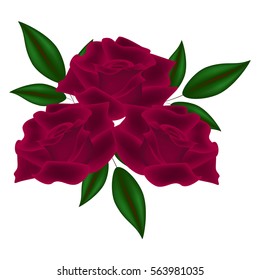 Three roses with leaves on a white background.