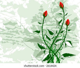 Three roses on winter background.