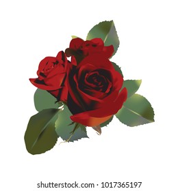 three roses of red color with green leaves