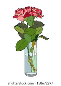 Three roses in a vase