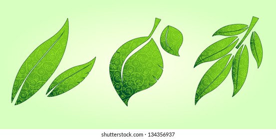 Three scroll ornate leaves icons.