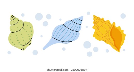 Three sea shells of various colors on white background with bubbles, cartoon style illustration, nautical summer vacation