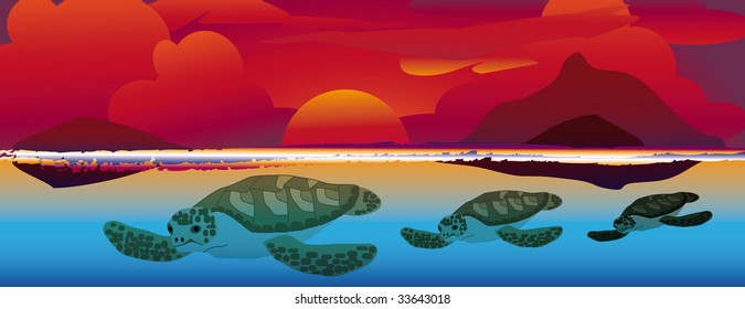 three sea turtles swimming at a colorful sunset