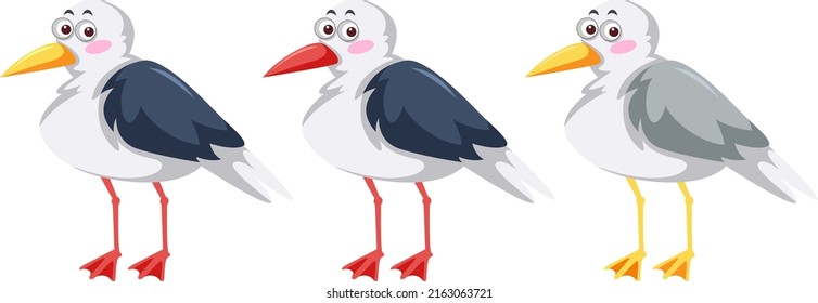 Three seagull birds in cartoon style illustration