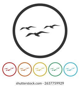 Three Seagulls icon. Set icons in color circle buttons