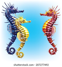 Three seahorses on tinted background [Hippocampus]