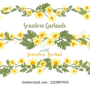 The three seamless borders with Feverfew flowers