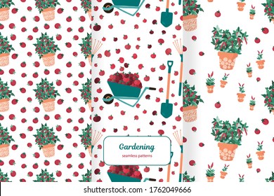 Three seamless patterns with tomatoes, chili peppers and wheelbarrow full of apples. Ecologically grown fruits and vegetables in countryside. Vector illustration.