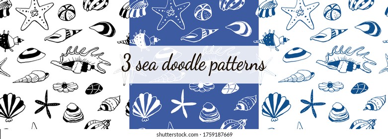 Three seamless sea shell doodle pattern set. Isolated and hand drawn marine icon vector illustration. Line art design, summer shore backdrop. Endless texture. Summer, tropical, vacation. Wallpaper. 