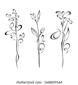 three separate decorative flowers on tall stems with leaflets and curls in black lines on a white background