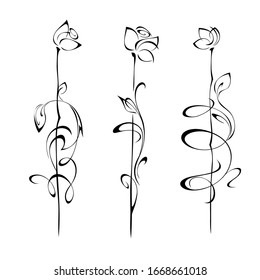 three separate decorative flowers on tall stems with leaflets and curls in black lines on a white background