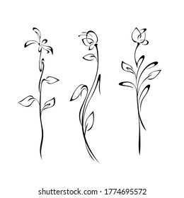 three separate decorative flowers on tall stems with leaves in black lines on a white background