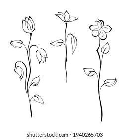 three separate stylized flowers on tall stems with leaves black lines on a white background