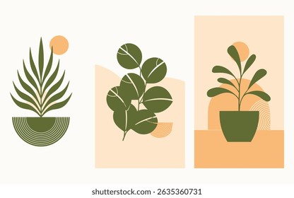 Three serene botanical posters. Plants evoke peace, set against soft peach backgrounds with geometric accents. A calming collection brings the outdoors in.