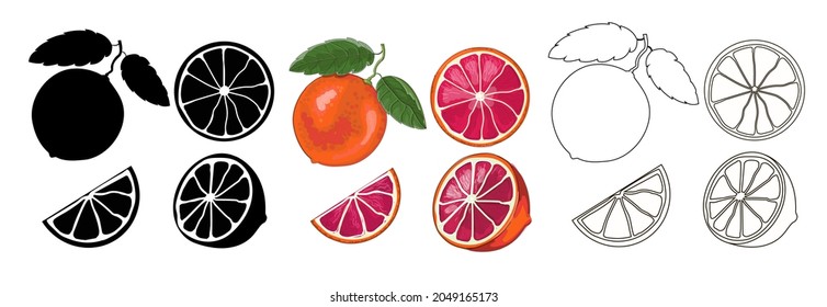 Three set of grapefruits-  black silhouette, colored in a cartoon style and outline style. One grapefruit on a twig with two leaves, a half and two slices, isolated on a white background. Vector 