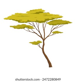 Three shapes of beautiful trees in African nature, vector illustration isolated no background