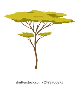 Three shapes of beautiful trees in African nature, vector illustration isolated no background