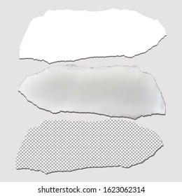 Three shapes of torn paper 03