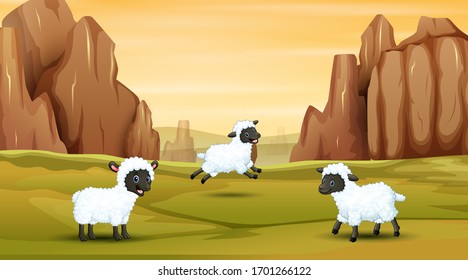 Three sheep playing on the field