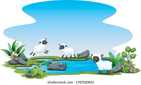 Three sheep playing in the pond