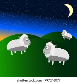 Three sheep stand on field and hill with sunset at night