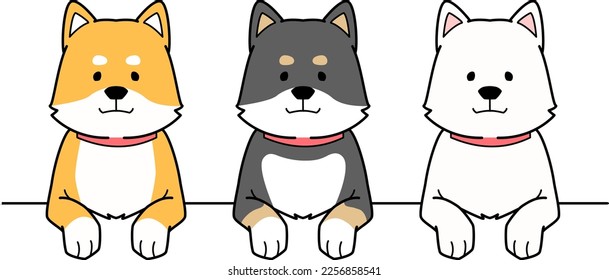 Three Shiba Inu are looking at you with their front paws out