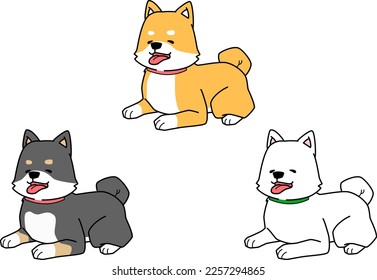 Three Shiba Inu lying down