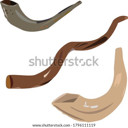 Three shofar horns of different colors