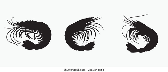 Three shrimp silhouettes in different positions, highlighting their curved bodies, antennae, and legs. A versatile vector illustration ideal for seafood, marine life, and culinary designs