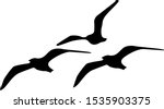 three silhouette bird  vector seagull