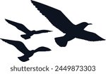 Three Silhouette Bird Vector Seagull