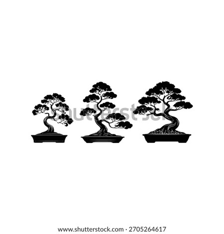 Three silhouetted bonsai trees in a row